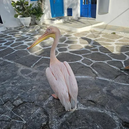 Solo Apartment Mykonos Town