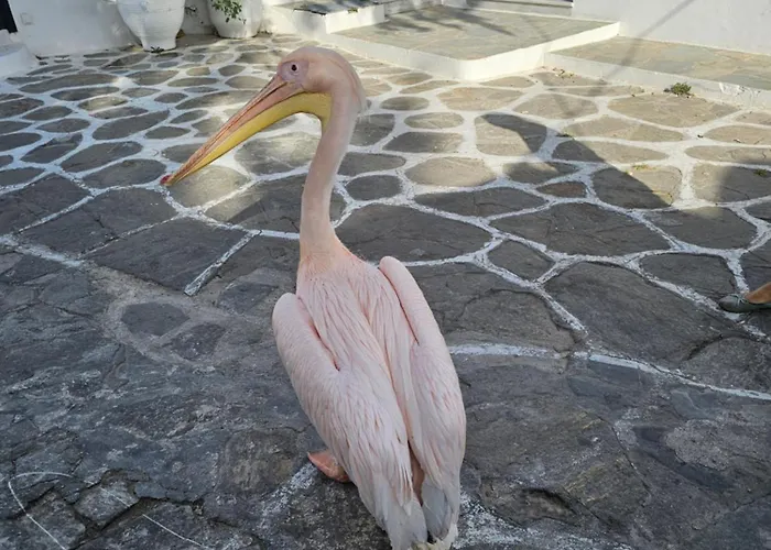 Solo Appartement Mykonos Town